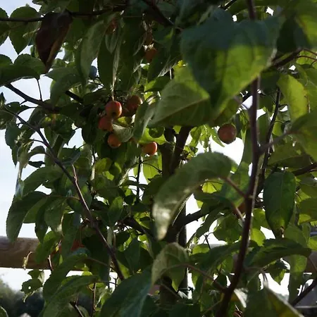 L'atelier Tatil Evi *